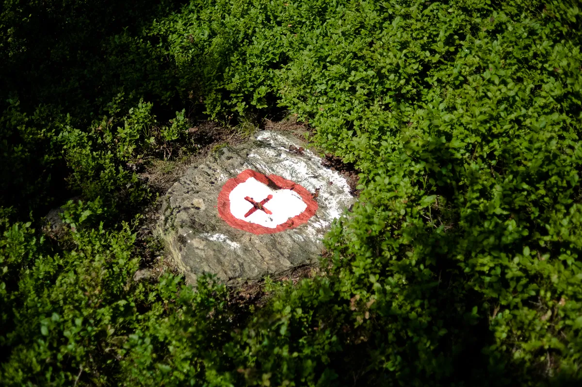 Aerial view of a woodland area with a marked central point